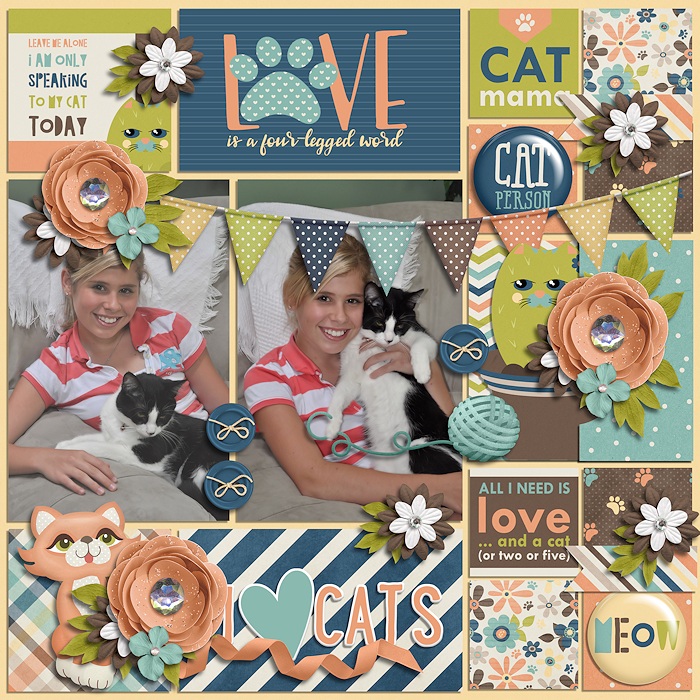 I love cats