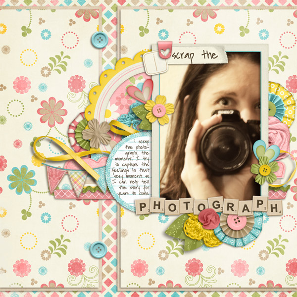 i scrap the photograph