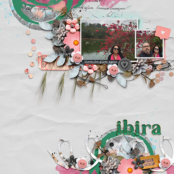 Ibira