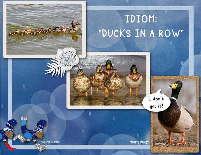 Idiom: "Ducks in a Row"