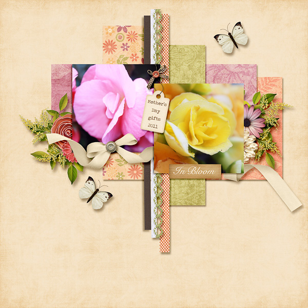 In Bloom