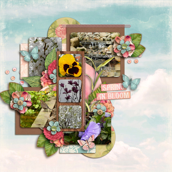 In Bloom