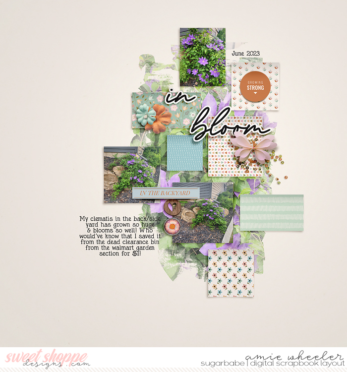 In bloom