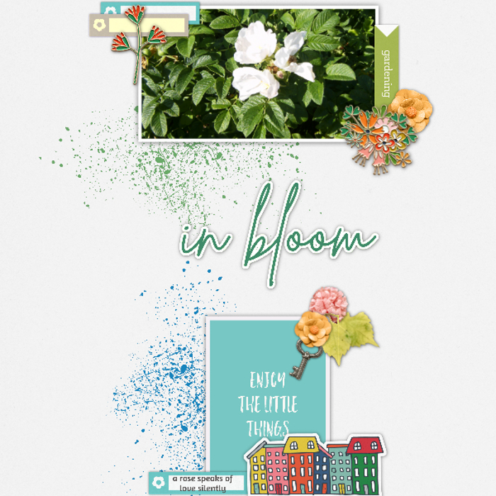 In bloom