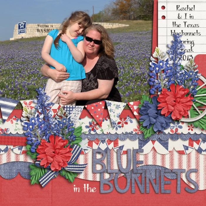 In the Bluebonnets