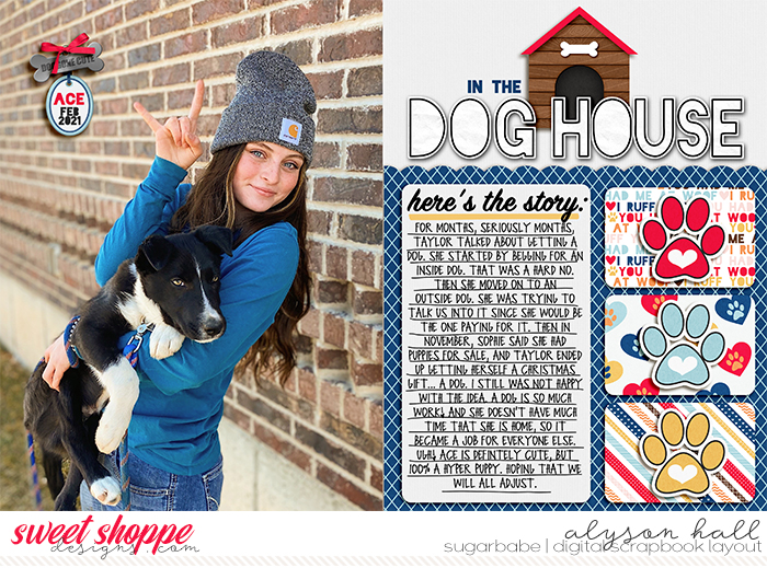 In the Dog House