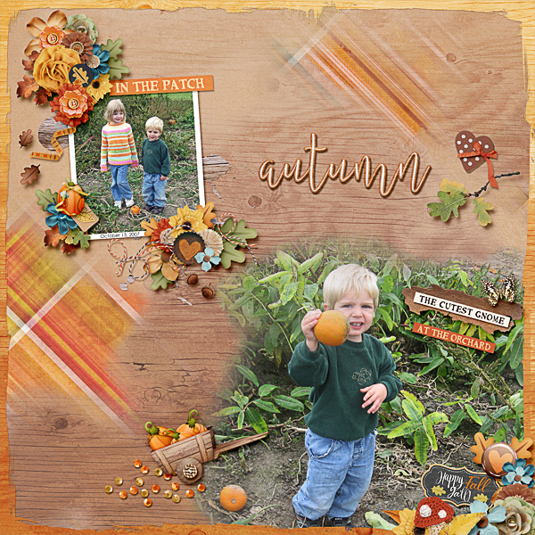 In the Patch at the Orchard