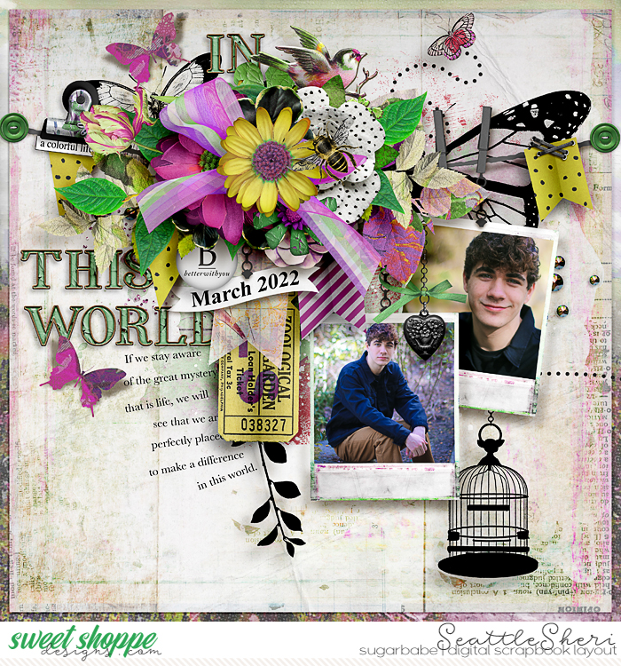 In This World