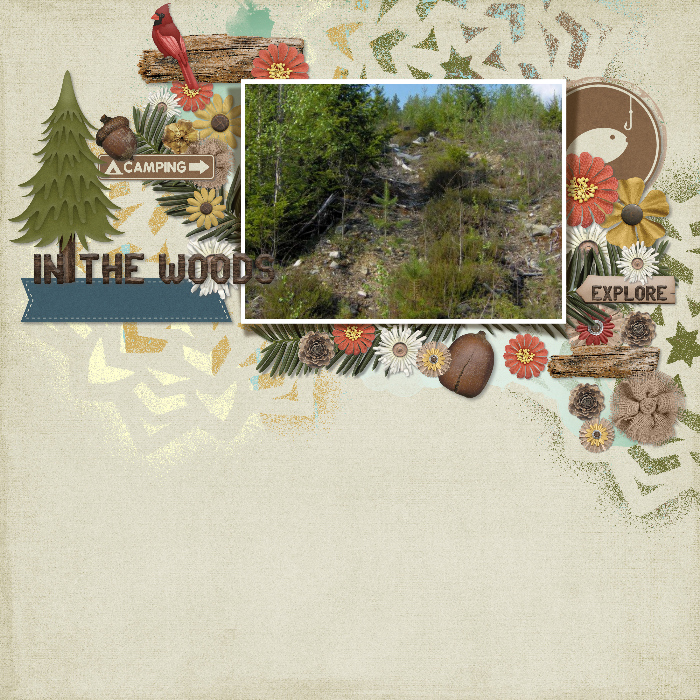 In_the_woods1