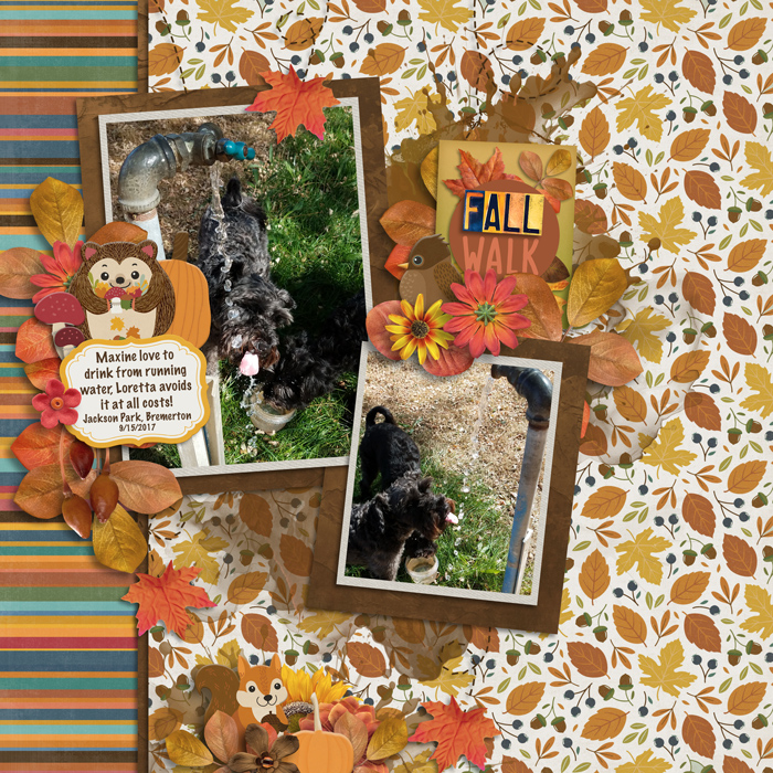 Into Autumn by Clever Monkey Graphics