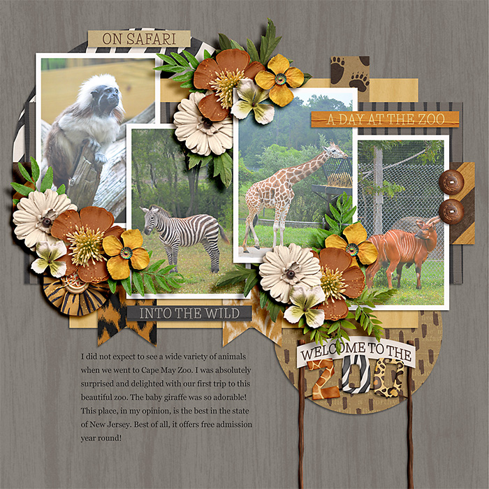 Into the wild