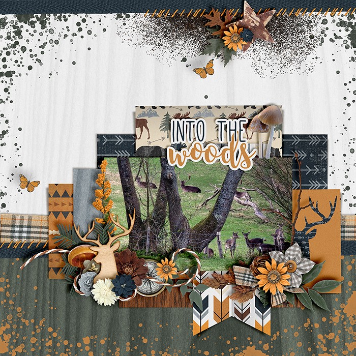 Into the Woods