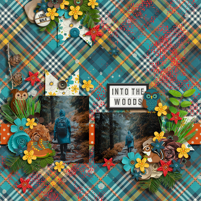 Into the woods