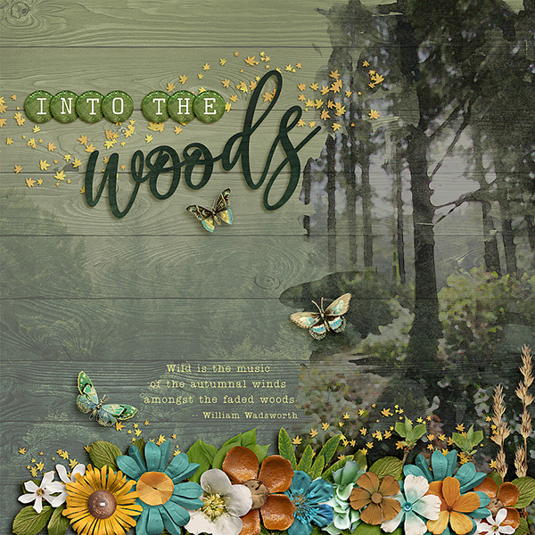 Into the Woods