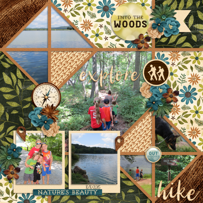 Into the Woods