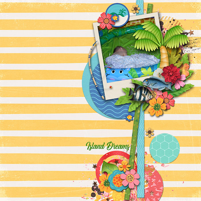 Island Dreams