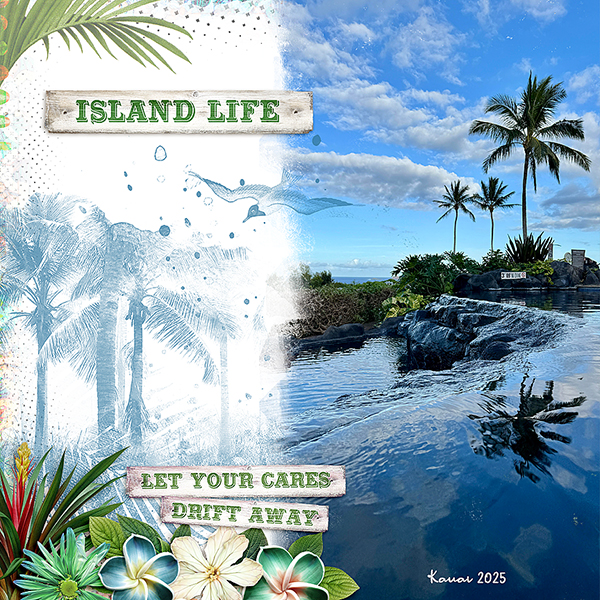 Island Life