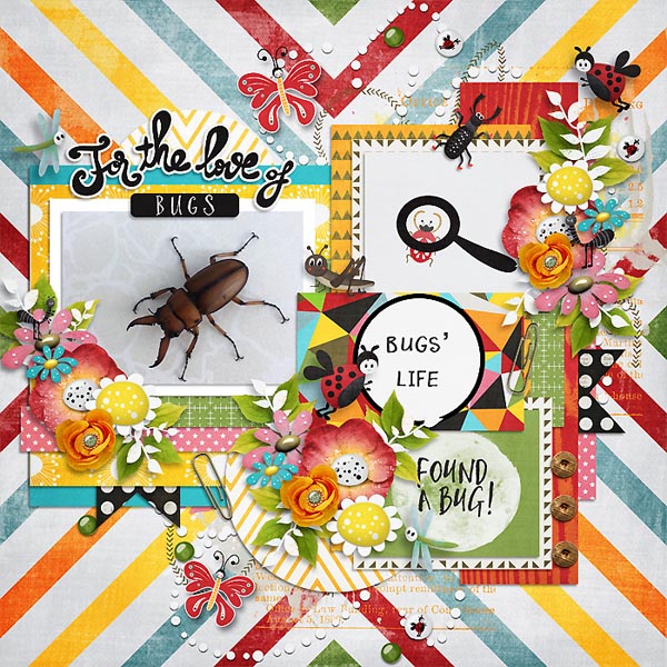 It's a Bug Thing