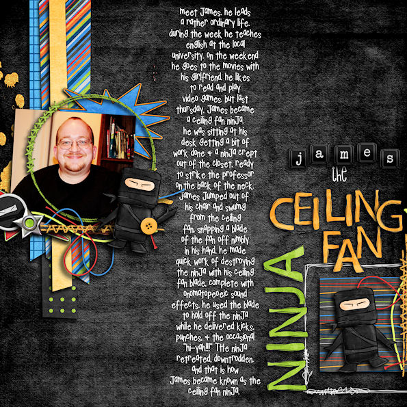 James the Ceiling Fan Ninja