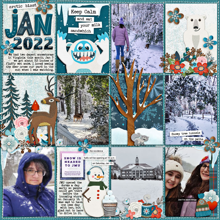 Jan 2022 Snow