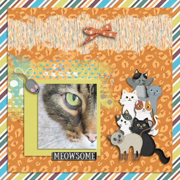 Jan 9a Cat