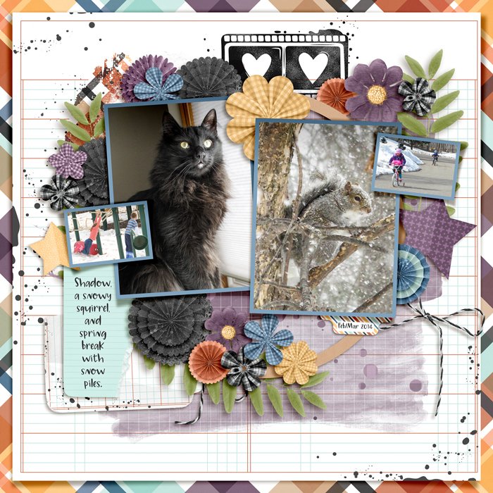 Jan to March 2014 Cover