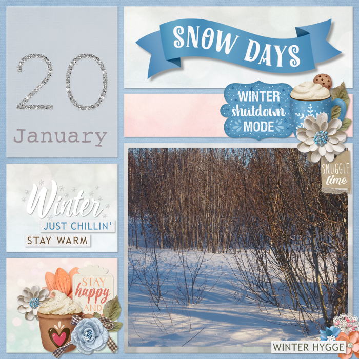 January 20 th