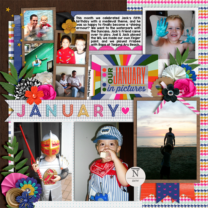 January 2010 Review