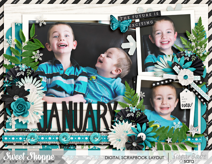 january-2016wm