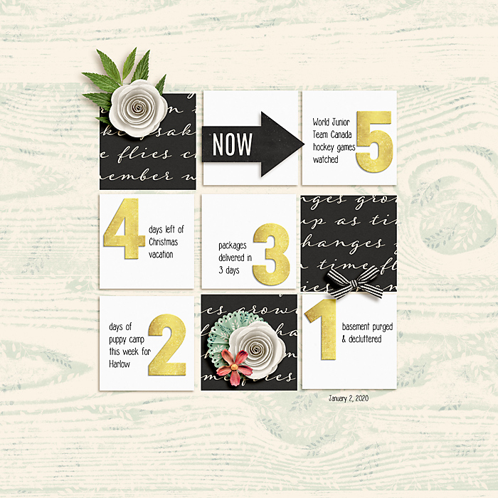 January 2020 Passport to Change 5-List: Countdown