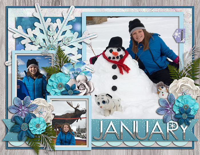 January calendar