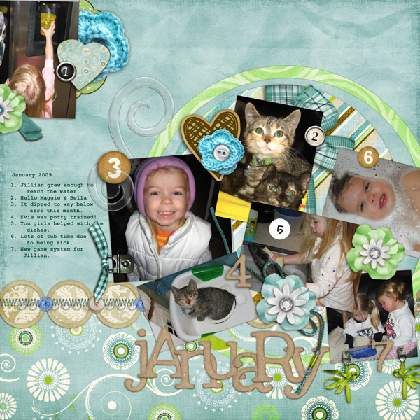 January Review 2009