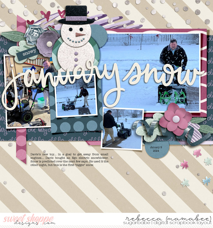 january snow