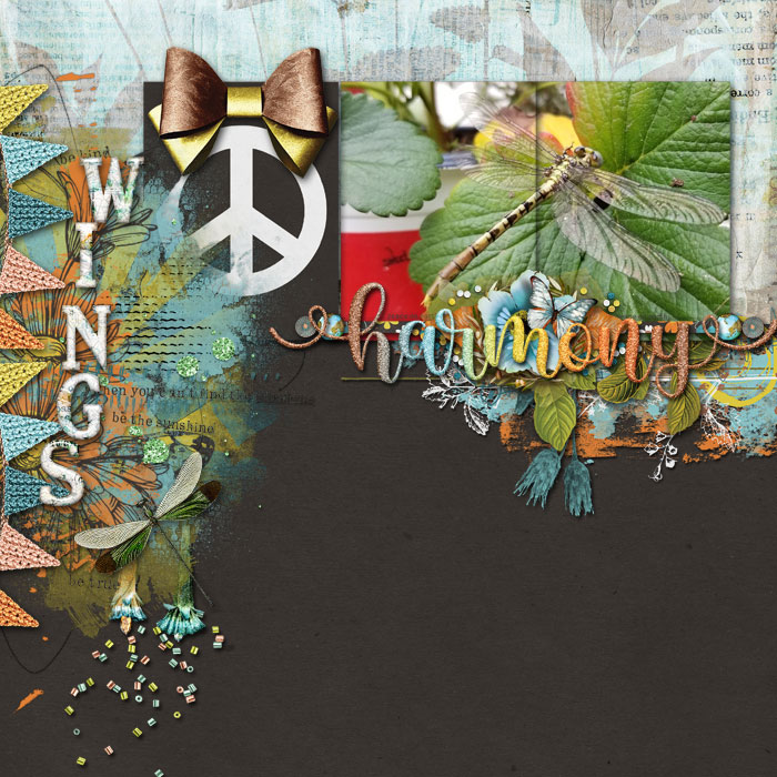 jcd-tnp-imagine