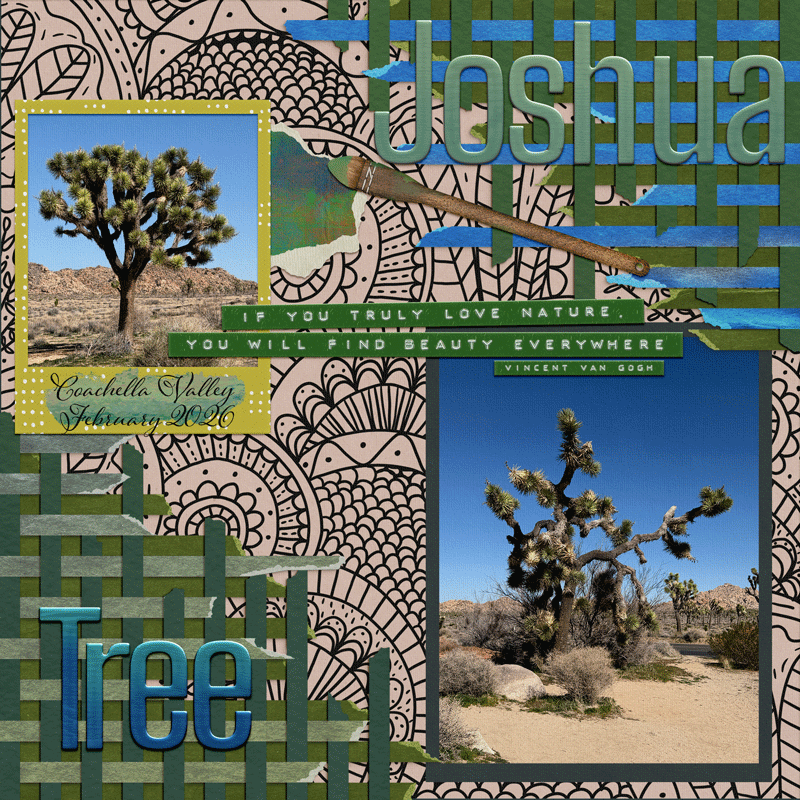 Joshua Tree
