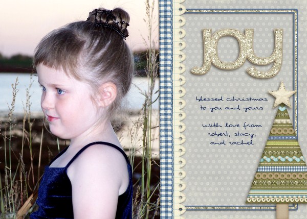 Joy, 2012 Christmas Card