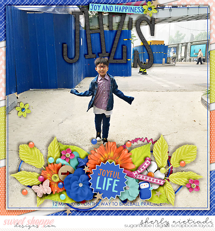 joyful life