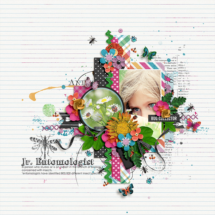 Jr Entomologist