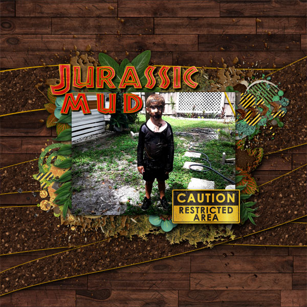 Juassic Mud