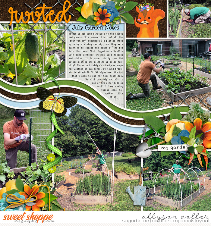 July Garden Notes