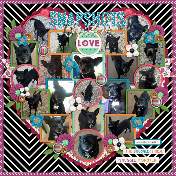 June B @ Bark & Play
