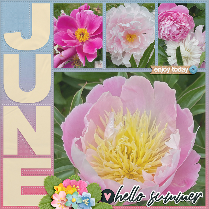 June Flowers