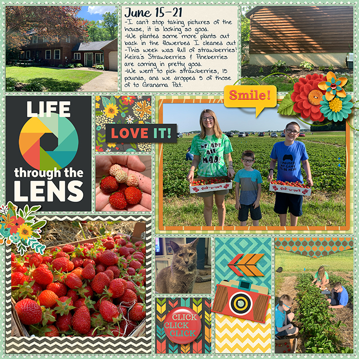 June - Week 3 2020