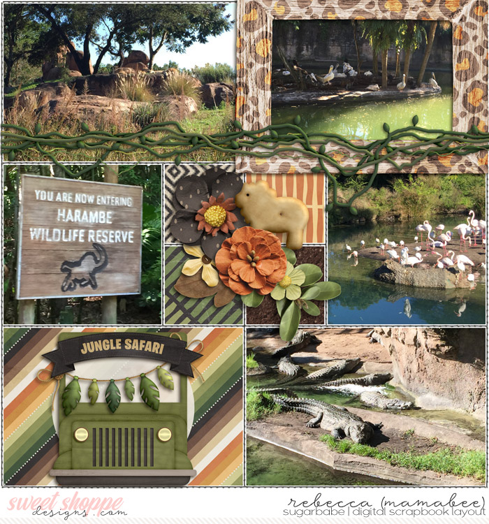 Jungle Safari_right