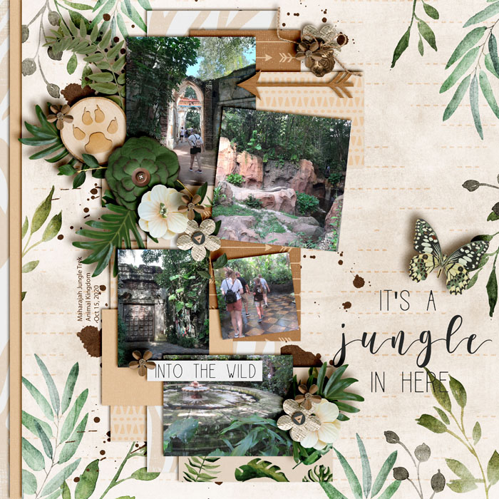 Jungle Trek