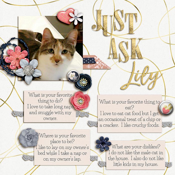 Just Ask Lily