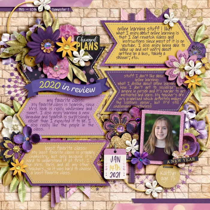 Kaitlyn - Online Learning 10th grade - Sem1