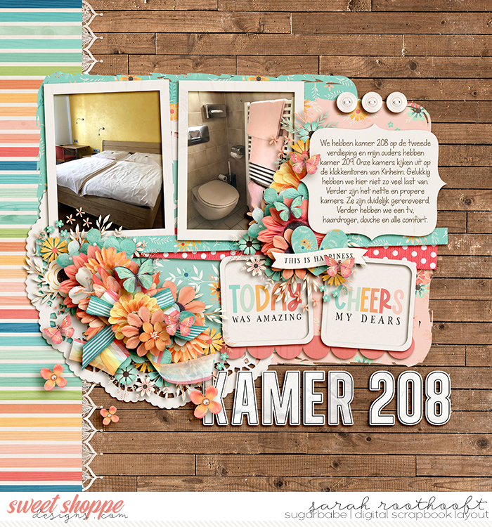 Kamer 208
