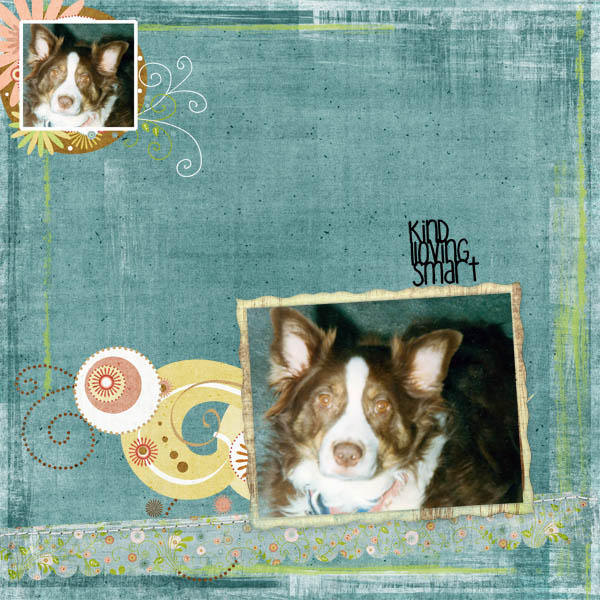 Katie smart,loving,kind