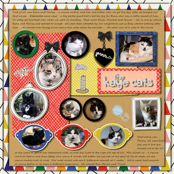 Kaye cats